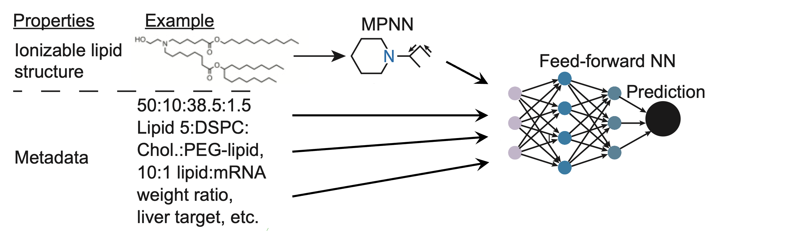 LiON framework schematic